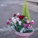 miyu.bouquet_14_06